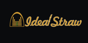 Logo Design by Akinola Kemi 2