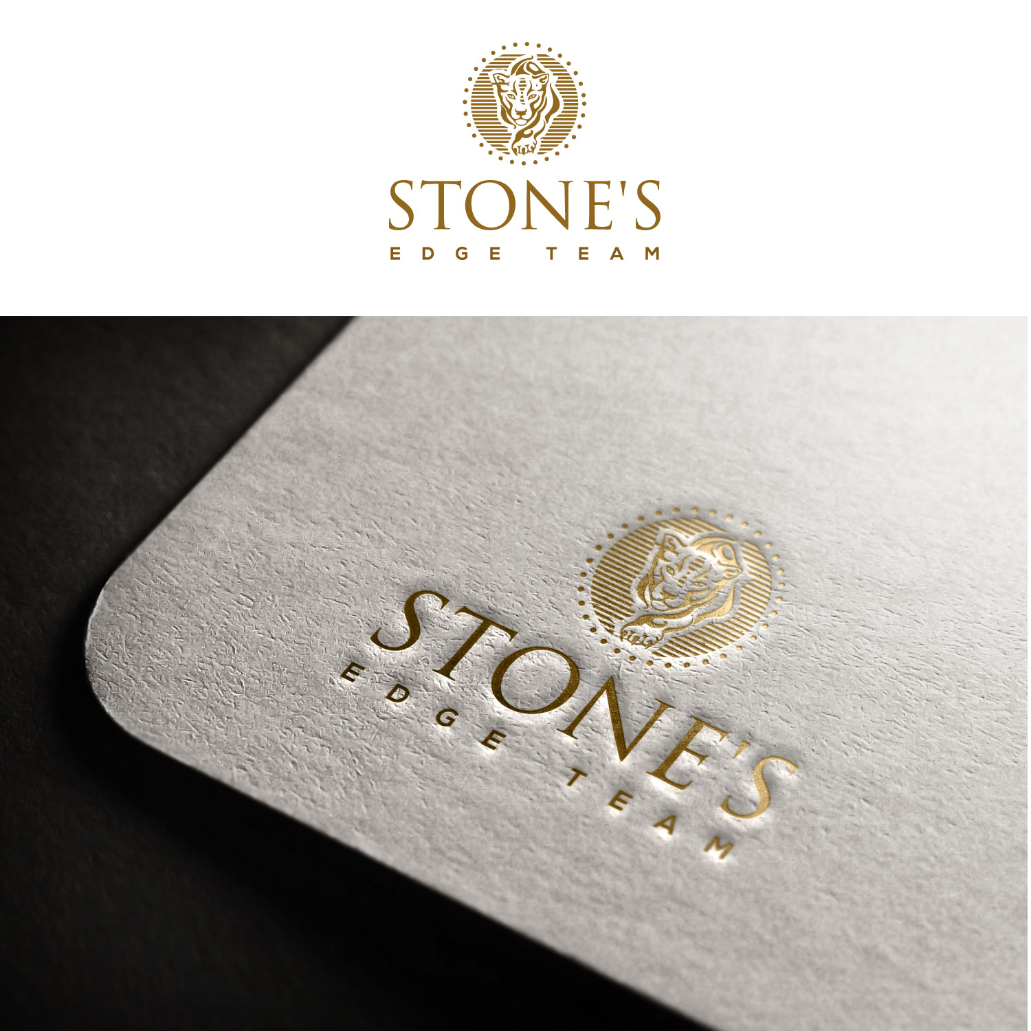 Design de Logo par Anjan Sinha pour Stone's Edge Team | Design #21876258