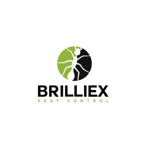 Logo-Design von **INCREDIBLEDESIGNERS** für dieses Projekt | Design: #21870744