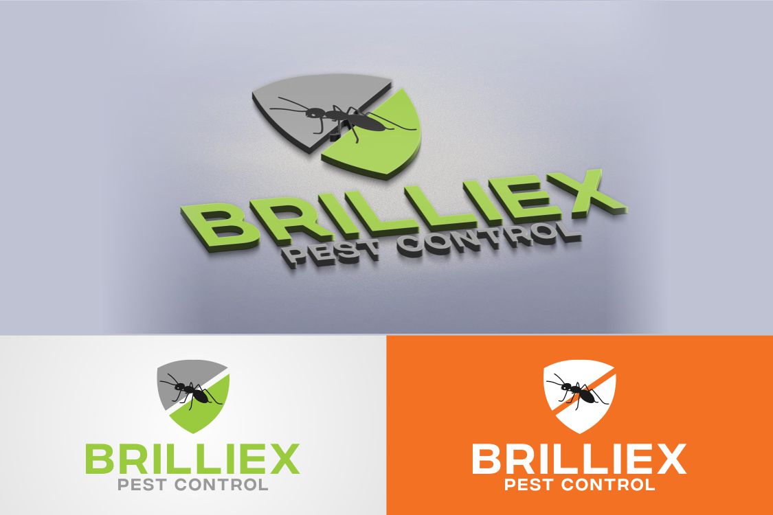 Logo Design by Rajiv Kumar for this project | Design #21867622