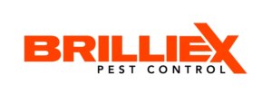 Logo Design by Kelvin22