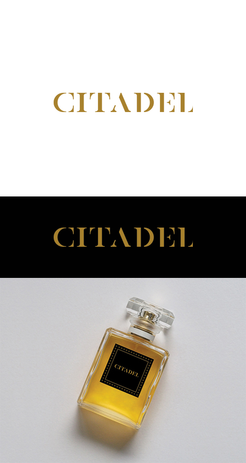 Logo Design by anshtoyj for this project | Design #21871919