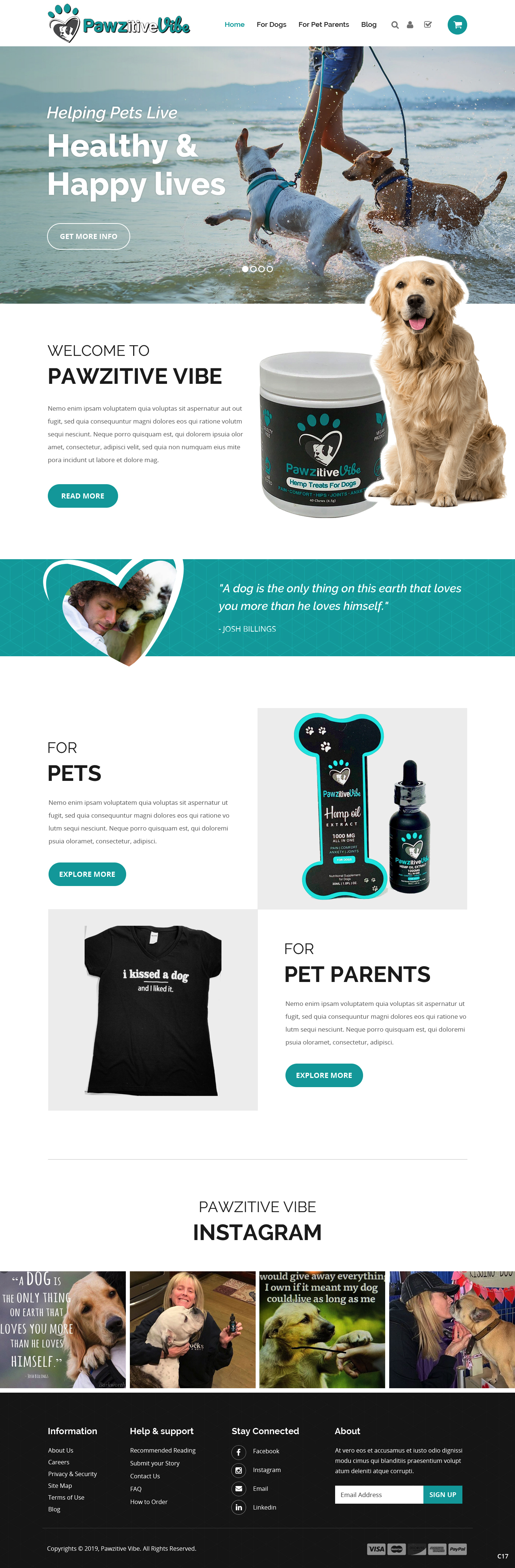 Web Design by pb for Pawzitive Vibe - ellro dist | Design #21882688
