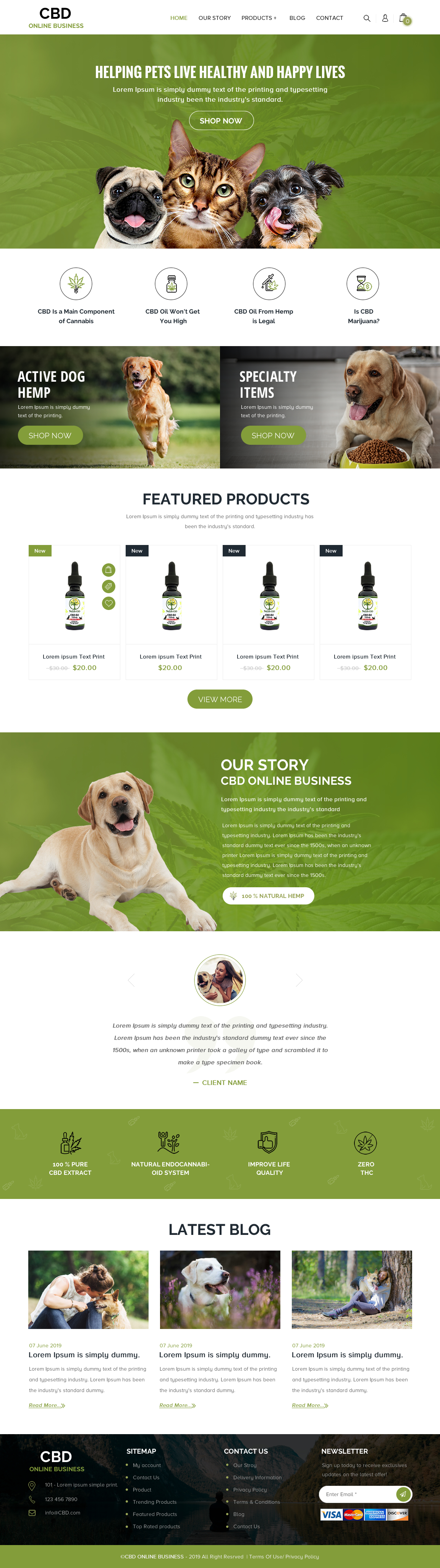 Web Design by rightway for Pawzitive Vibe - ellro dist | Design #21877111