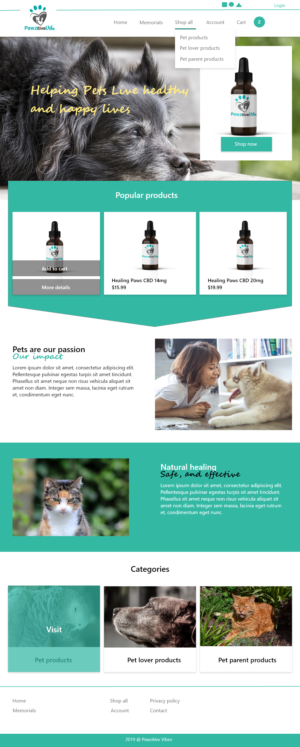 Web Design by Aidan Coleman