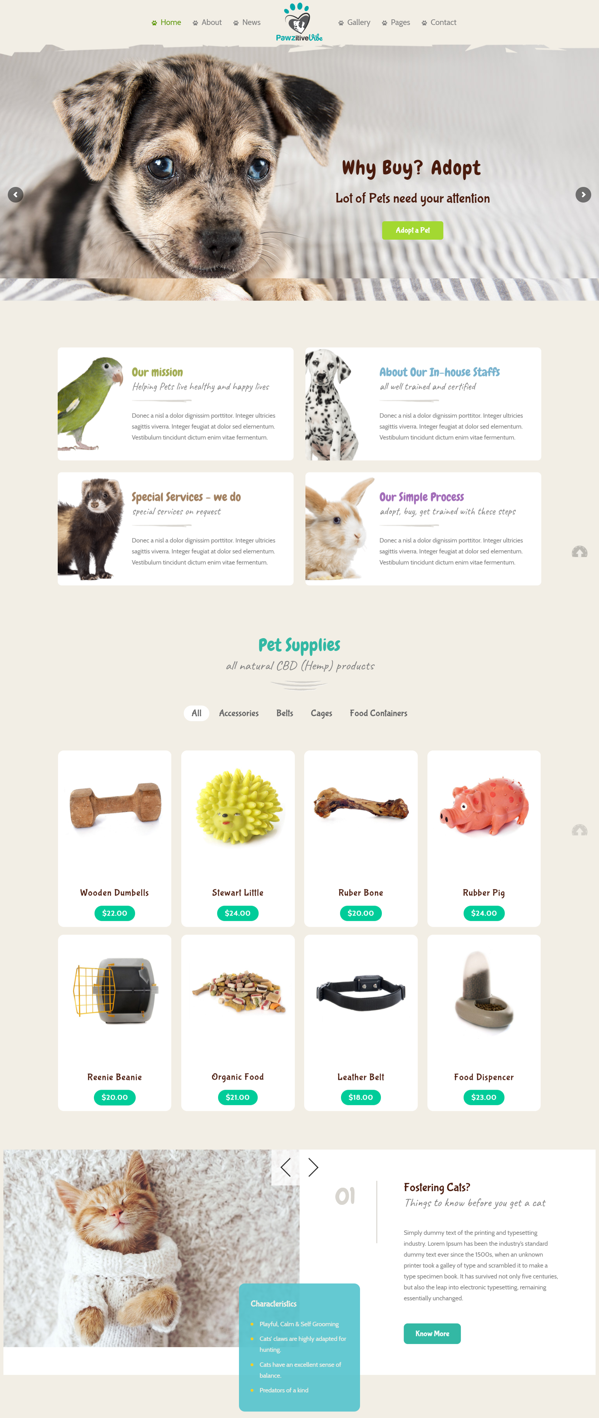 Web Design by Malcolm C for Pawzitive Vibe - ellro dist | Design #22007270