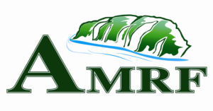 Logo Design by Kavin D 2