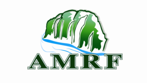 Logo Design by Kavin D 2 for this project | Design #21964495
