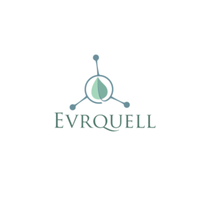 Logo Design by ESolz Technologies