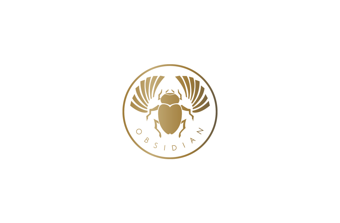 Logo Design by GLDesigns for Obsidian | Design #21891696