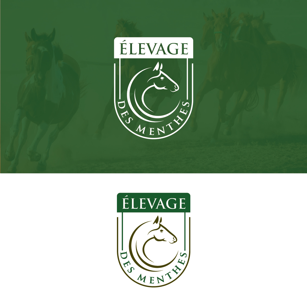 Logo Design by creativemood438 for Stable design | Design #21965024