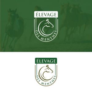 Diseño de Logo por creativemood438 para Stable design | Diseño: #21965024