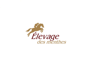 Diseño de Logo por instudio para Stable design | Diseño: #21954629