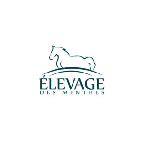 Diseño de Logo por **INCREDIBLEDESIGNERS** para Stable design | Diseño: #21958394