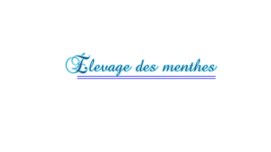 Logo Design by Quratulain 25 for Stable design | Design #21966293