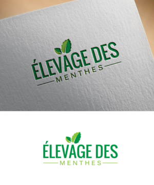 Diseño de Logo por Aliqa Design para Stable design | Diseño: #21954440