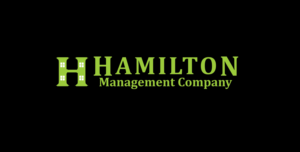 Logo Design by Akinola Kemi 2