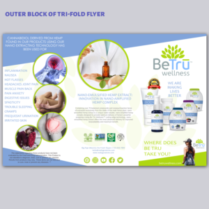 Flyer Design by elveneclipse for this project | Design: #21903006