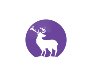 Logo Design by Sam Maiyaki