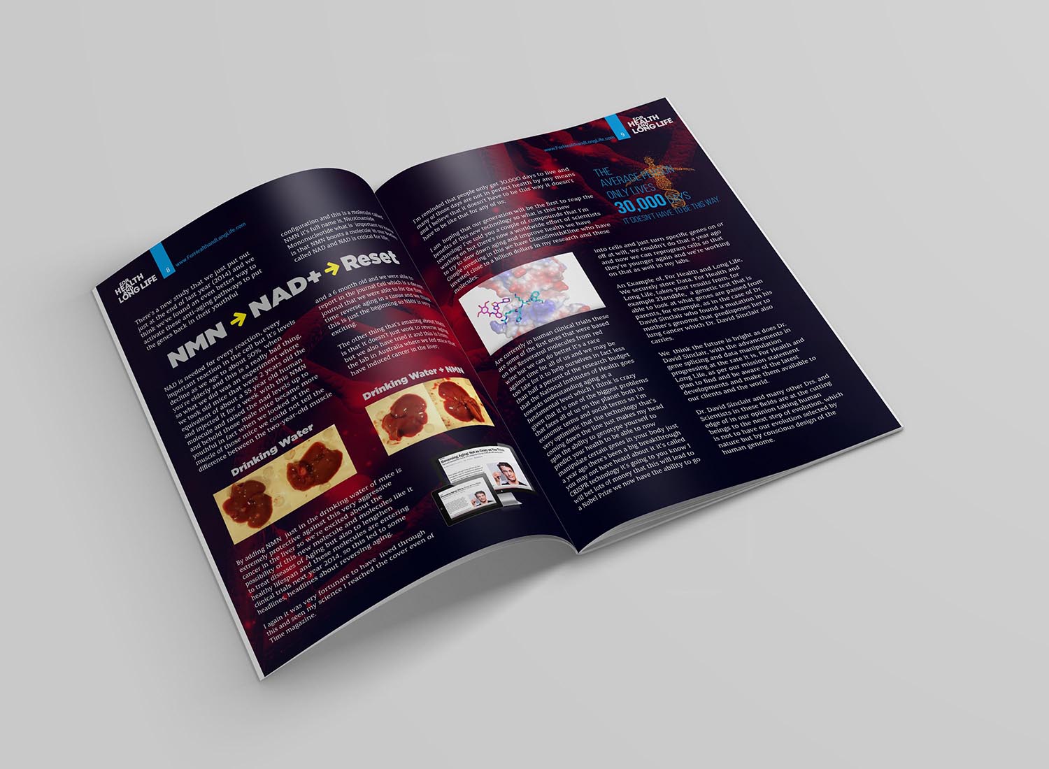 Magazine Design by lookedaeng for this project | Design #21934858