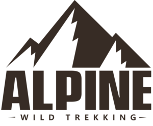 Logo Design by Mellows
