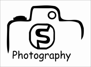 Logo Design by Danish33