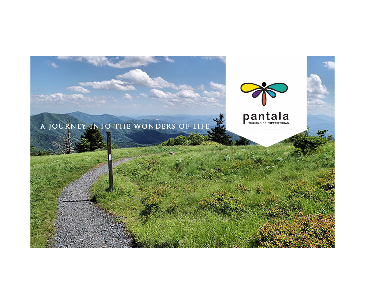 Logo Design by Tougle and Trefisk for this project | Design #21959767