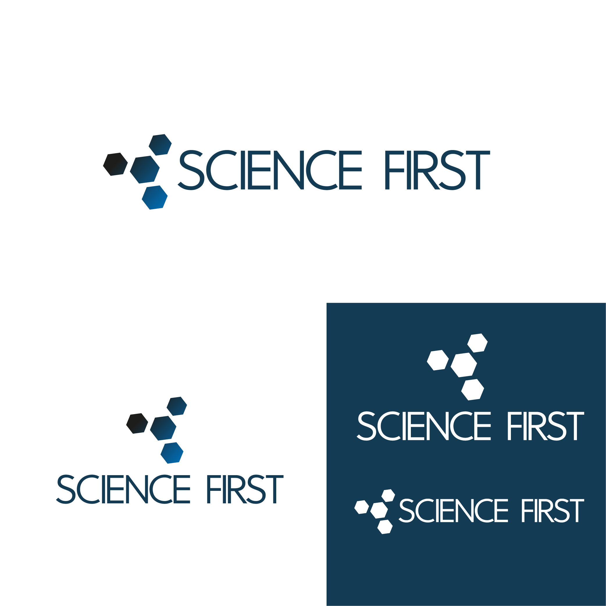 Logo Design by skoerding for this project | Design #21959422
