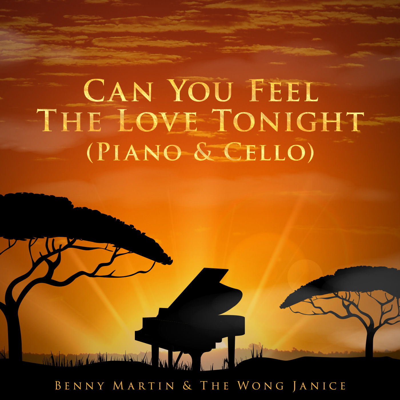 CD Cover Design by LDN for this project | Design #22226303