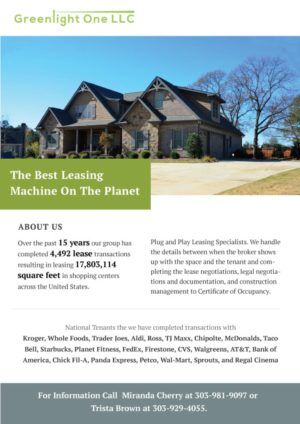 Flyer Design by I²D² - Indigenous India Design &amp; Development for Greenlight One LLC | Design: #21920677