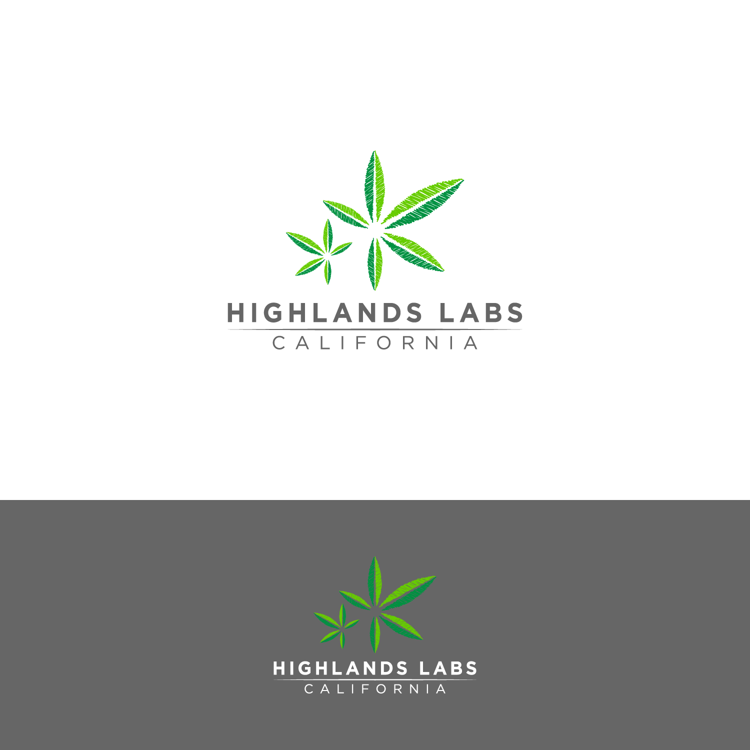 Logo Design by Haja_H2 for this project | Design #21929120