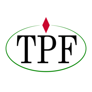 Logo Design by IkerAR