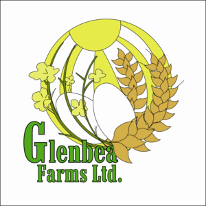 Logo Design by Ametrical Design