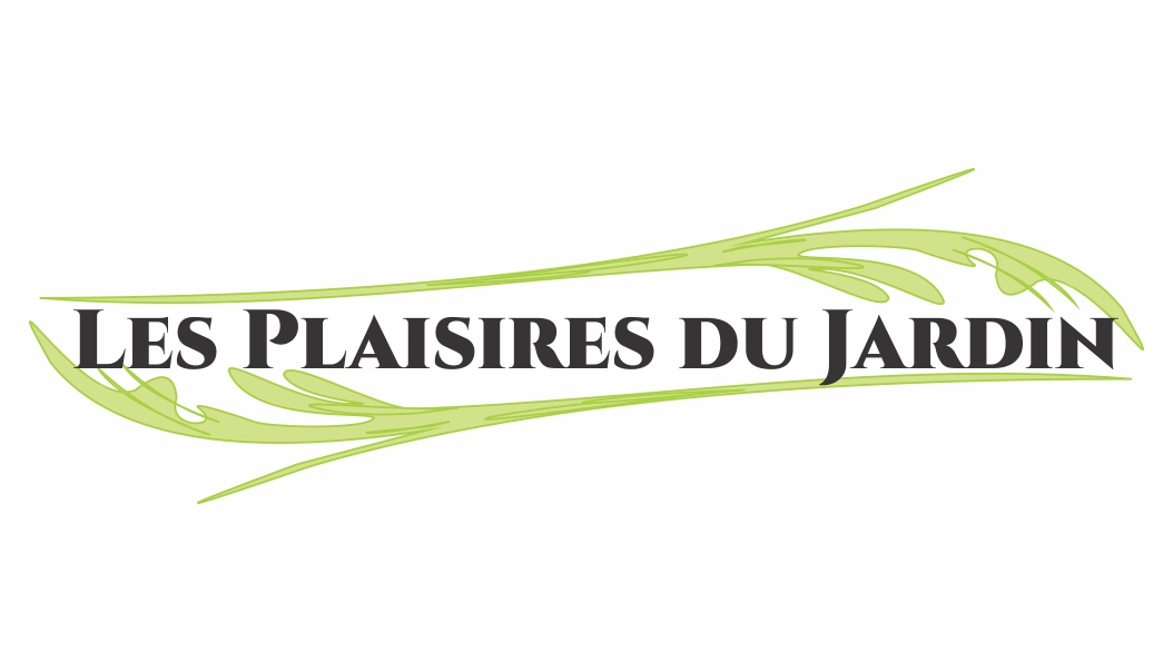 Logo Design by Alireza Mirzaei for this project | Design #21951710