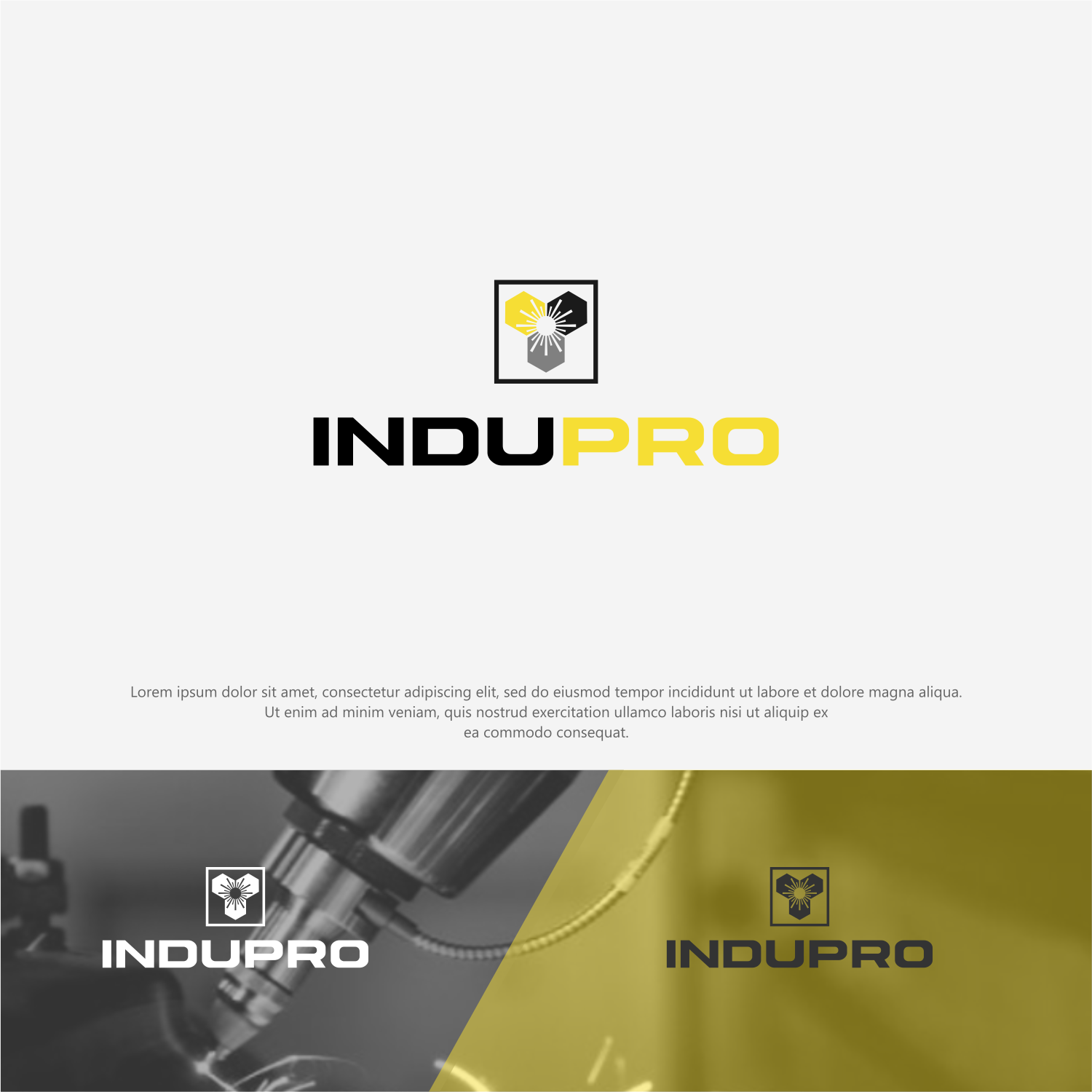 Logo-Design von ThiagoB für dieses Projekt | Design #22001052