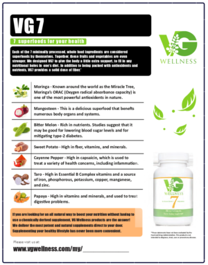 Diseño de Flyer por breakanimi para VG Wellness LLC | Diseño #21954585