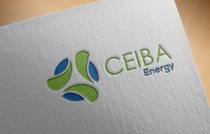 Logo Design by helena snow