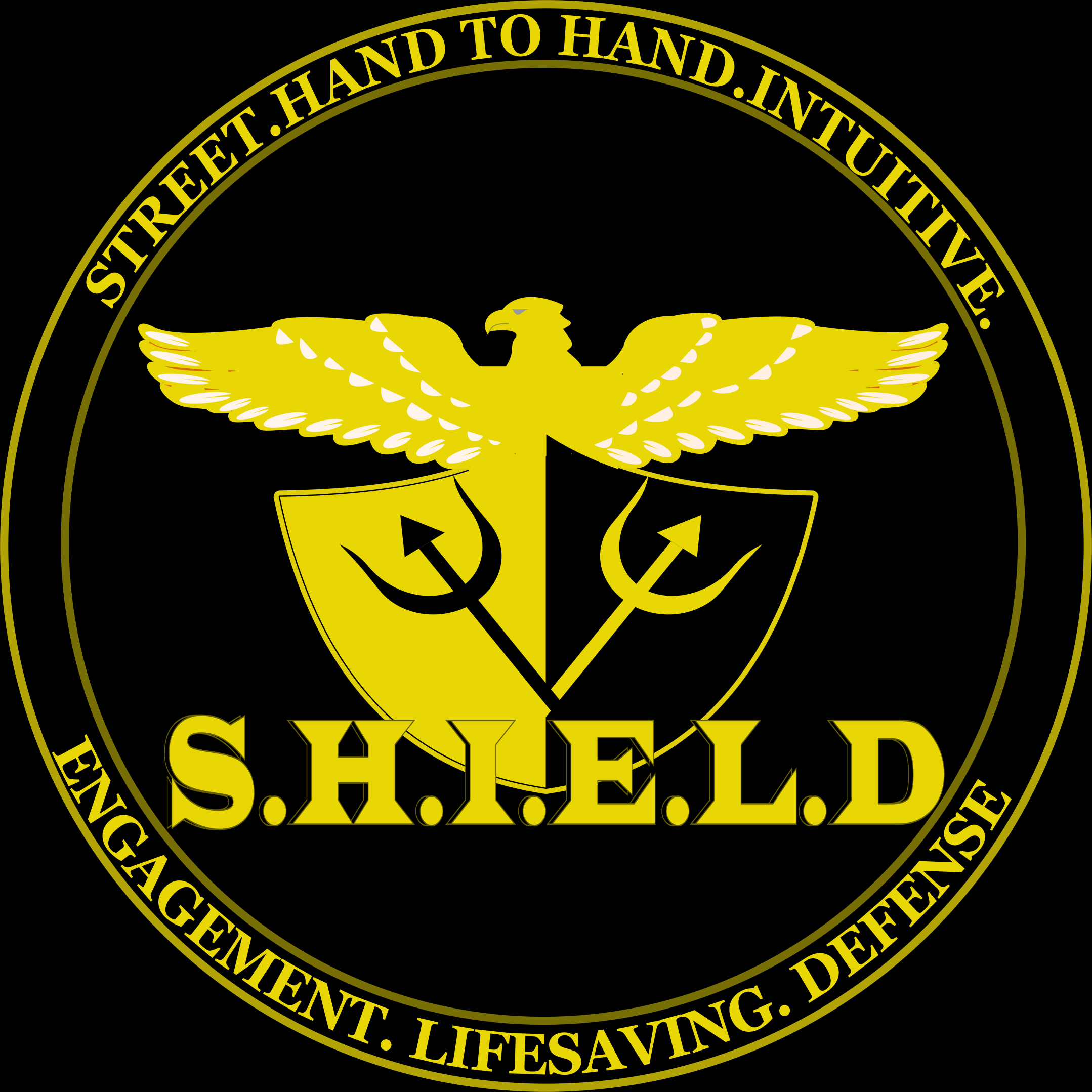 Design de Logo par Akshaya 3 pour SHIELD System | Design #21978317