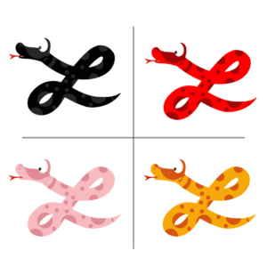 Graphic Design by Gexton for this project | Design: #21989880