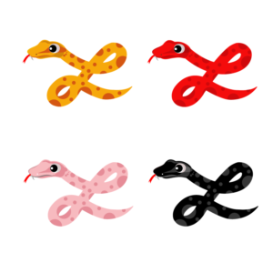 Graphic Design by Gexton for this project | Design: #22018499