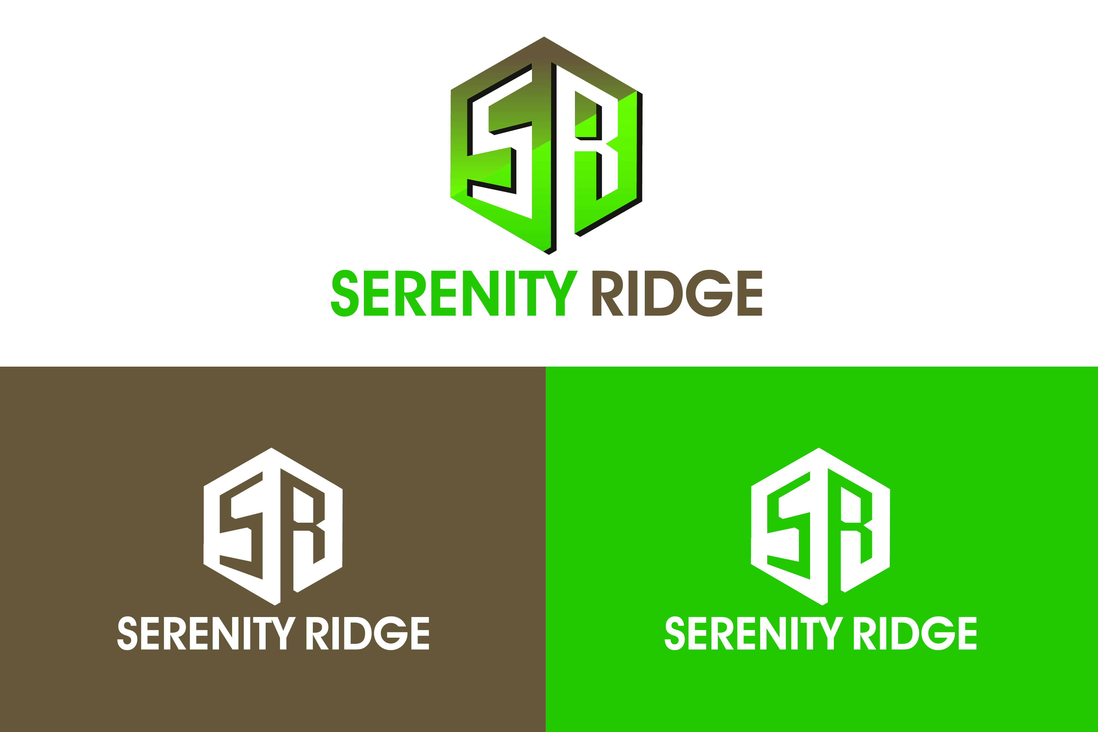 Logo Design by sarath designer for Cloud City PR | Design #21980603