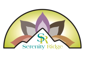 Logo Design by Javelin Studio for Cloud City PR | Design: #21997148