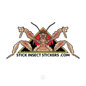 Logo Design by Adiguna13 for this project | Design: #22107881