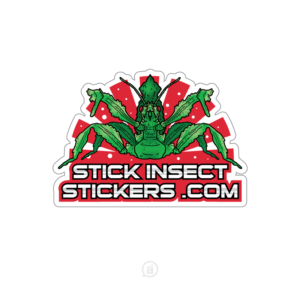 Logo Design by Adiguna13 for this project | Design: #22124952