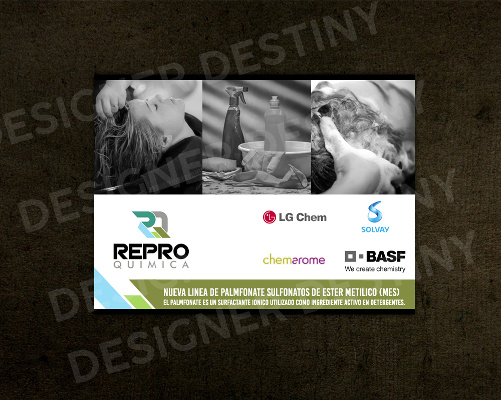 Flyer-Design von Designer Destiny für dieses Projekt | Design #21994158
