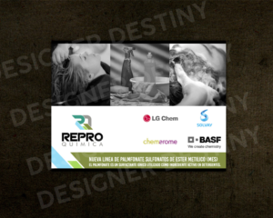 Flyer-Design von Designer Destiny für dieses Projekt | Design: #21994158