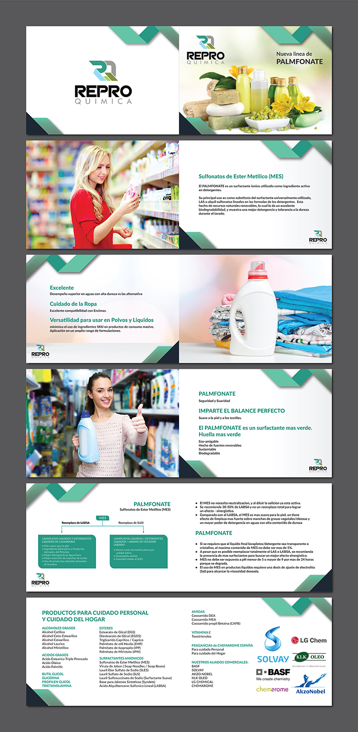 Flyer Design by Deziners Zone for this project | Design #21966753