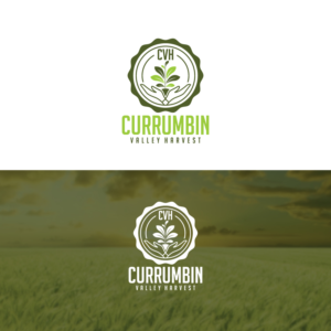 Logo Design by Graphic Bricks