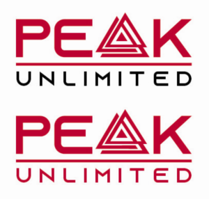 Logo Design by Artist Corner Philippines for this project | Design: #21987605