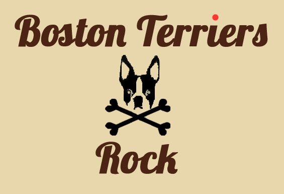 Logo-Design von designbee für dieses Projekt | Design #717736
